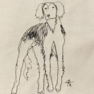 Afghan Hound