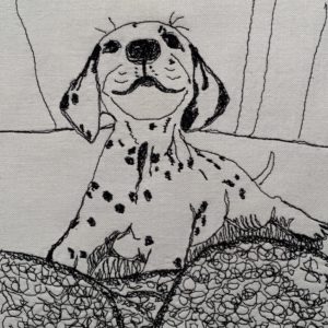 Dalmation Puppy