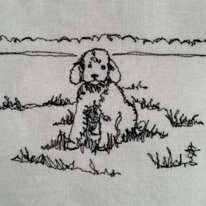 Poodle Puppy in Field