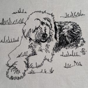 English Sheepdog